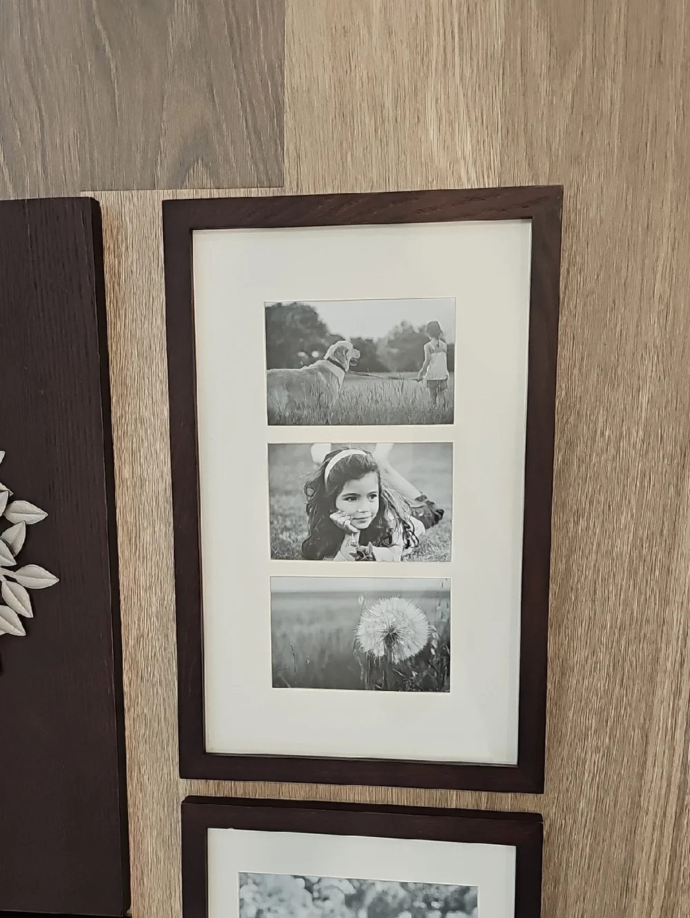Family Tree Frames Set